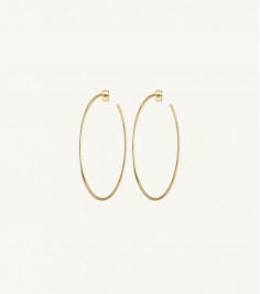 Golden Brass Long Round Earrings