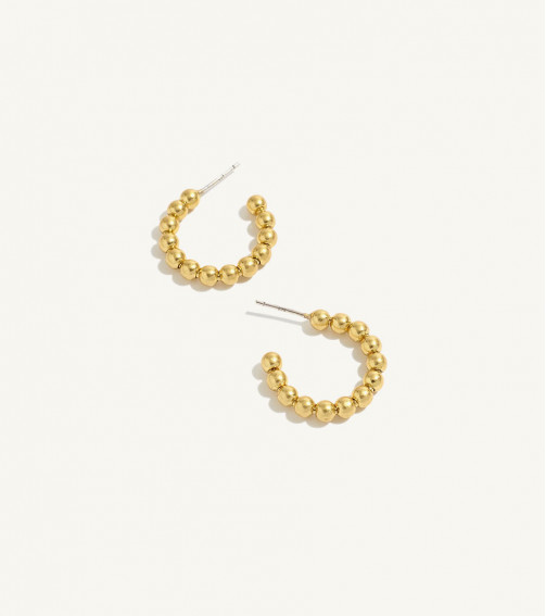 Solid Gold Medium Hoop Earrings